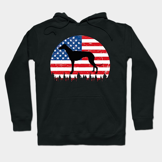 Vintage Retro Greyhound American Flag 4th of July Gifts Hoodie by JaroszkowskaAnnass